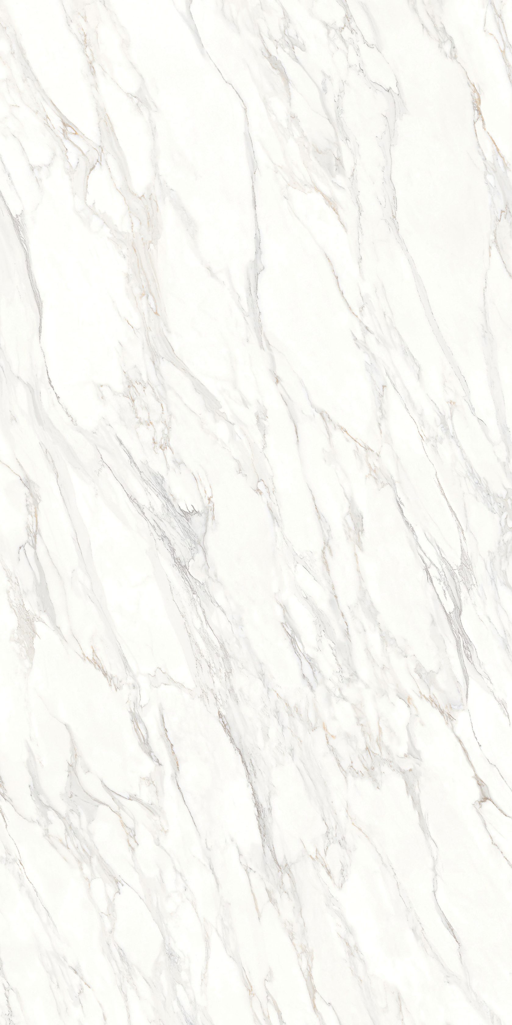CARRARA BIANCO