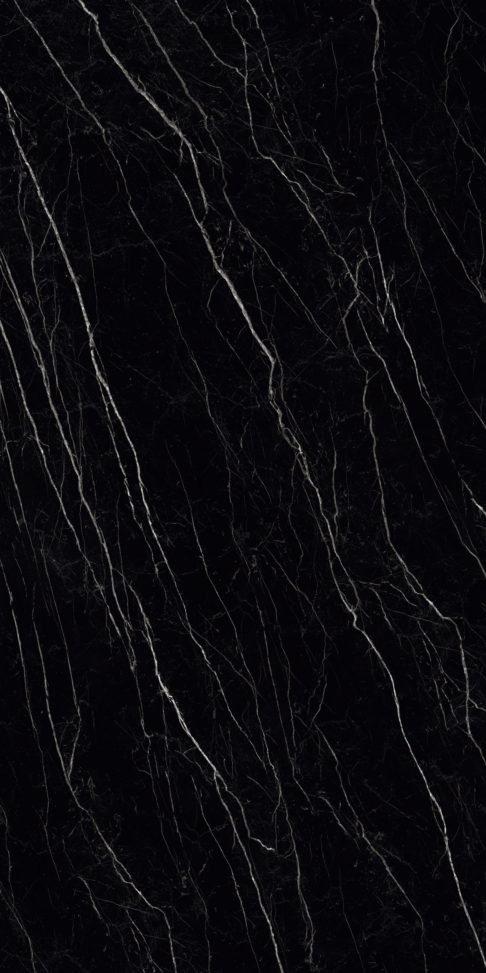 NERO MARQUINA